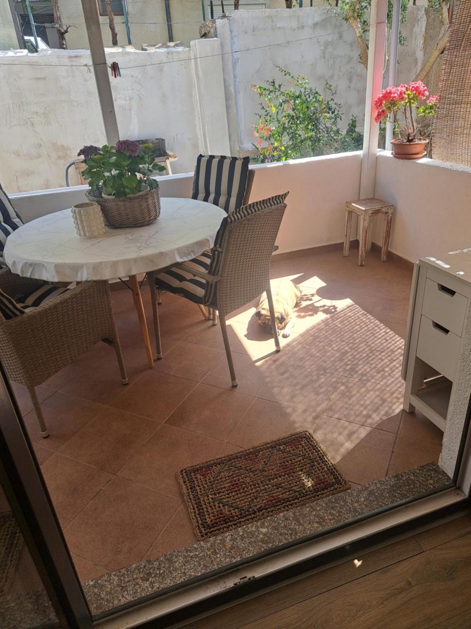 Apartman Petra Zadar Zewnętrze zdjęcie
